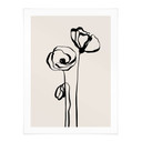 Plakat Line Art Two Poppies - Cats & Dotz