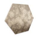 Zeshoekige Houten Wanddecoratie paardenbloemen droom in beige - Ms Tiff