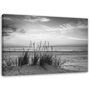 Canvasbillede, Græs på strand - sort og hvid