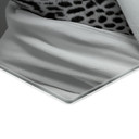 Glasbillede - Royale Spa time-out med leopard - Rahner