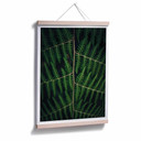 Plakat Botanical 03