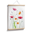Plakat Kolorowe maki - Disher