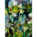 Fotobehang Papierbehang Aphrodite´s Garden
