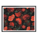 Plakat UN Designs - Czerwone kwiaty