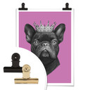 Plakat Korenkova - Król buldog francuski różowy