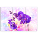 3 stykke lærred print Lilla orkidé blomst