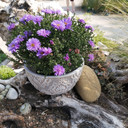 Betonnen Plantenschaal met Versiering 19 cm doorsnede