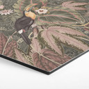 Sekskantet Billede Toucan i en tropisk skov - Bloomery Decor - Aluminium Dibond