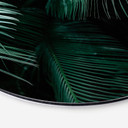 Tableau sur alu-Dibond rond Botanique tropicale