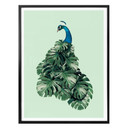 Plakat Loose - Monstera Bird