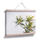 Plakat - Palms 05