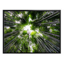 Plakat Hugonnard - Las w Japonii