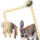 Plakat premium - Lepus