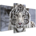 3 stykke lærredstryk Tiger Wild Animal sort og hvid