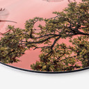 Vægcirkel Zhao - Birds at Sunset – print på aluminium (Alu-Dibond)