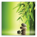 Canvasbillede, Zen bambus sten planter