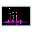 Tableau Forex - De Kogel - Secret Elixir