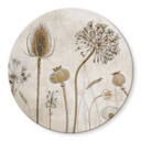 Tableau sur verre rond Disher - fleurs séchées