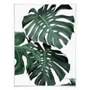 Plakat Sisi & Seb - Monstera