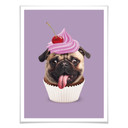 Plakat Loose - Pugcake