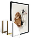 Plakat Brown - Bunny Love