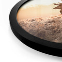Plakat Majestic Stag - okrągły