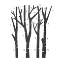 Drewniany panel ścienny XXL brzoza - las z ptakami - MDF