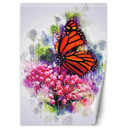 Fototapete, Schmetterling auf einer Blume