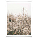 Plakat Annie - Trawy