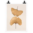 Plakat Lenka - Ginkgo