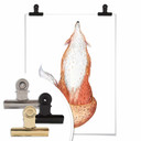Plakat Kvilis - Fox 02