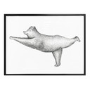 Plakat Kvilis - Yoga Bear 02