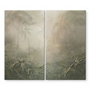 Mystiek regenwoud in de mist - Ms Tiff