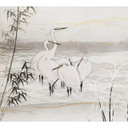 Guido Maria Kretschmer Fotobehang Art Edition Birds of Asia