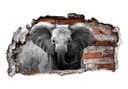 3D Wallsticker Jumbo den lille elefant