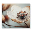 Dækplade til komfur Boho tørret blomst makro - Treechild