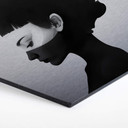 Hexagon Alu-Dibond Zilvereffect Ireland - I am not Here