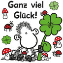 Wandtattoo sheepworld Ganz viel Glück