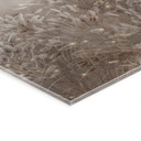 Acrylglas Pampasgras en grassen in beige - Ms Tiff