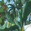 Selvklæbende tapet & møbelfolie - jungle - palmer - grøn - rulle 840x53 cm 