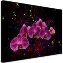 Canvasbillede, orkidéblomster pink spa