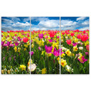 3-delt lærredsprint Farverige tulipaner Blomster Natur