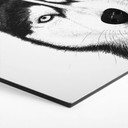 Sekskantet vægmaleri Siberian husky - hundeportræt - Korenkova - aluminium dibond