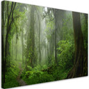 Canvasbillede, Tropisk jungle