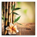 Leinwandbild Bambus Zen-Blumen