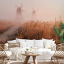 Fototapet Eom - Misty Morning - 480x260 cm