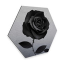 Hexagone - Alu-Dibond effet argenté Ireland - Fabric Rose