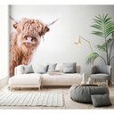 Livingwalls papier peint photo ARTist Highland Cattle beige, marron, blanc