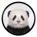 Plakat Sisi & Seb - Baby Panda - okrągły