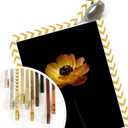 Plakat Żółty ranunculus